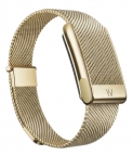 Металлический ремешок для браслета Whoop MG Meridian Band (Gold)
