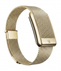 Металлический ремешок для браслета Whoop 5.0 (ONE, PEAK) Meridian Band (Gold)