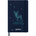 Moleskine Wizarding World Harry Potter Limited Edition Notebook L 130х210мм, 176стр., твердая обложка